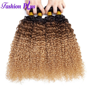 MALAYSIAN HAIR OMBRE KINKY CURLY HUMAN HAIR