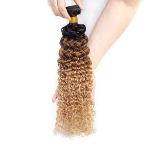 MALAYSIAN HAIR OMBRE KINKY CURLY HUMAN HAIR